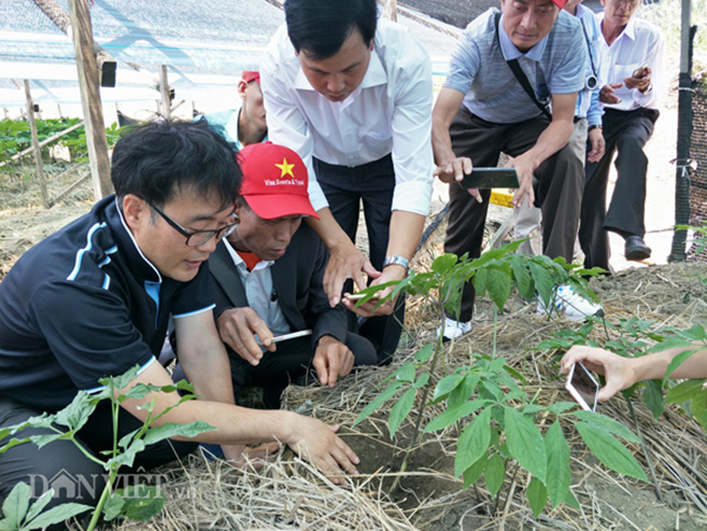 vao noi trong nhan sam cach bien gioi trieu tien chi... 1km hinh anh 7