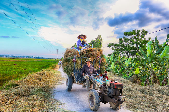 anh dep: mua vang o quang yen hinh anh 6