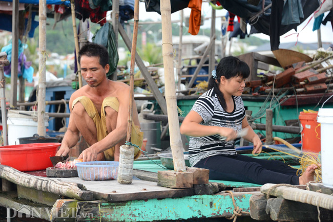 anh: ngay he lenh denh cua tre xom chai hinh anh 2