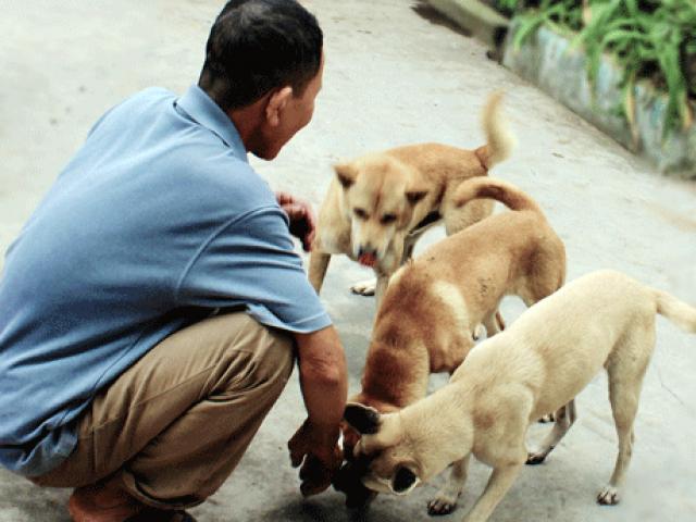 Xuyên đêm dẫn đàn &quot;chó thầy&quot; đi săn thú rừng trái phép ở Hoành Sơn