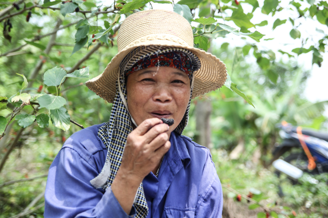 anh: cang ngam cang them nhung trai dau tam lai chin mong hinh anh 11