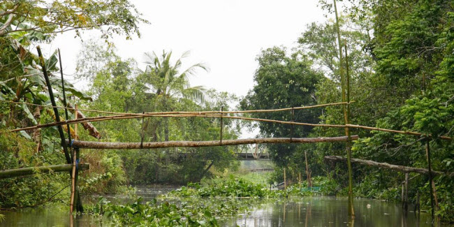 Cầu khỉ Việt Nam - Hình ảnh này sẽ đưa bạn đến với một khu vườn rừng nhiệt đới nơi bịt kín bởi những sợi dây và cầu treo. Một trong số đó là Cầu Khỉ Việt Nam, một công trình kiến trúc độc đáo và đầy màu sắc giữa các góc độ khác nhau của thiên nhiên. Hãy cùng đón xem và khám phá sức hấp dẫn của cầu khỉ này!