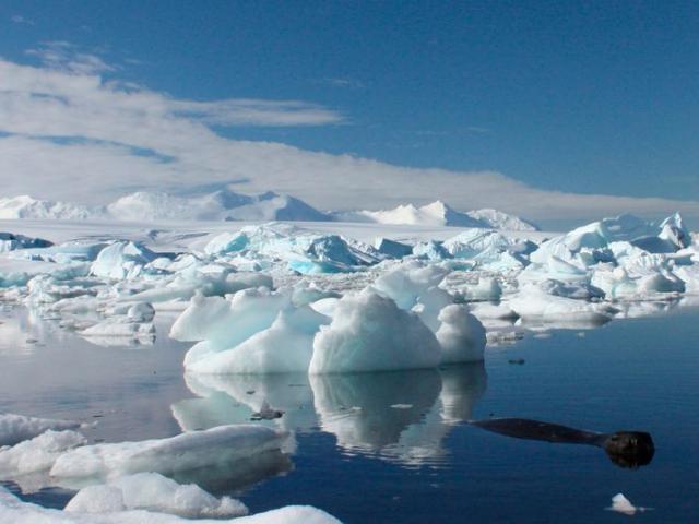 Kéo tảng băng khổng lồ từ Nam Cực để 4 triệu người có nước uống