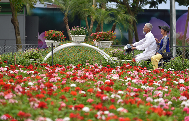 anh: pho di bo thu 2 cua ha noi gap rut hoan thien truoc gio g hinh anh 7