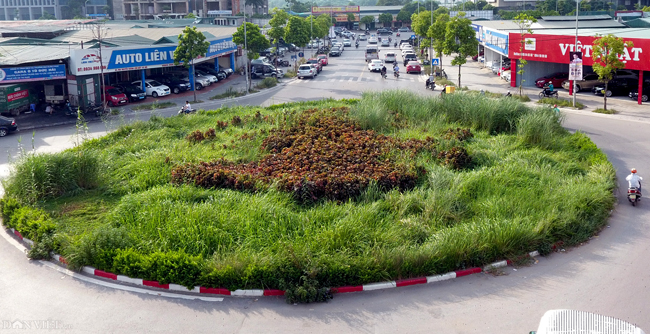 anh: co moc um tum bien nga tu o ha noi thanh 