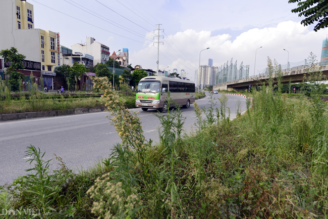 anh: co moc um tum bien nga tu o ha noi thanh 