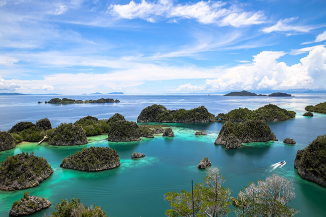 cat ba sanh vai cung maldives, jeju trong top nhung hon dao thien duong tai chau a hinh anh 13