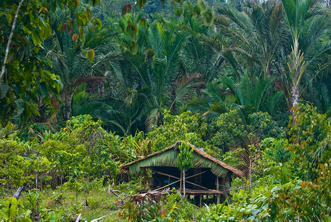 cat ba sanh vai cung maldives, jeju trong top nhung hon dao thien duong tai chau a hinh anh 14