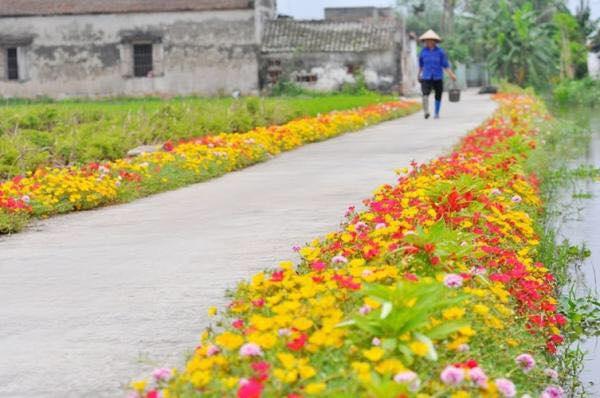 Con đường hoa: Lắng đọng trong hình ảnh đẹp về con đường hoa, bạn sẽ bị cuốn hút bởi sắc hoa tươi thắm, bao quanh bởi không gian xanh mát và tinh khiết. Hãy cùng đắm chìm trong những khung cảnh đẹp này, để tìm kiếm sự bình yên và niềm vui trong cuộc sống.