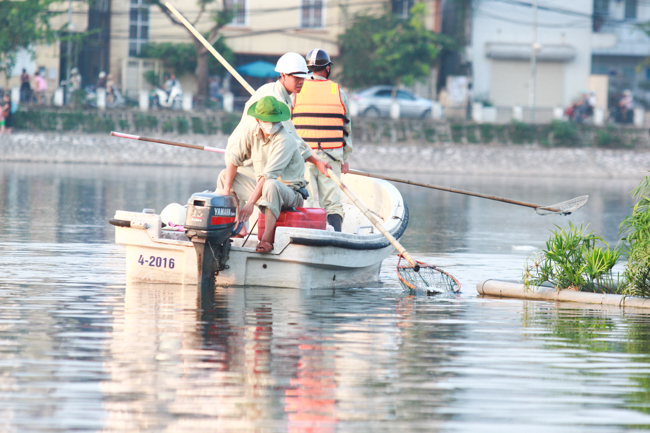 anh: vot hang bao tai ca chet, 