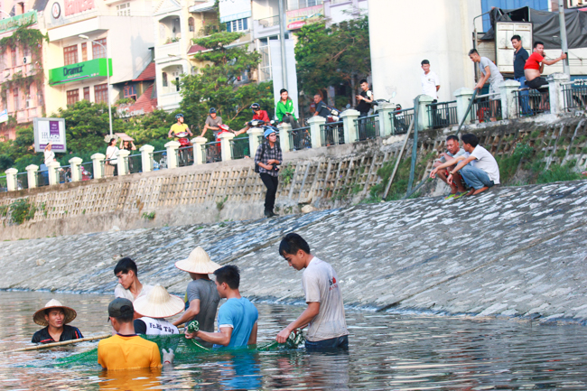 anh: vot hang bao tai ca chet, 