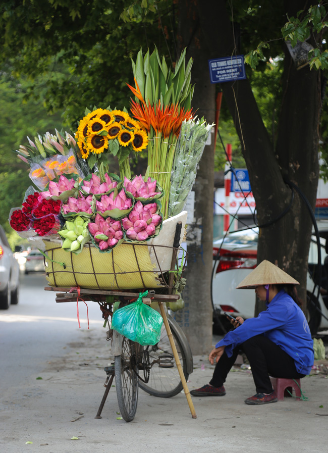 anh: thieu nu danh doi lan da trang, loi ho sen chup anh duoi nang hinh anh 14