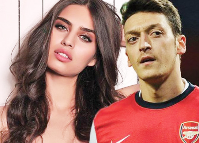 dan wags tuyen duc da world cup: bo sieu mau cua mesut ozil nong bong nhat hinh anh 1