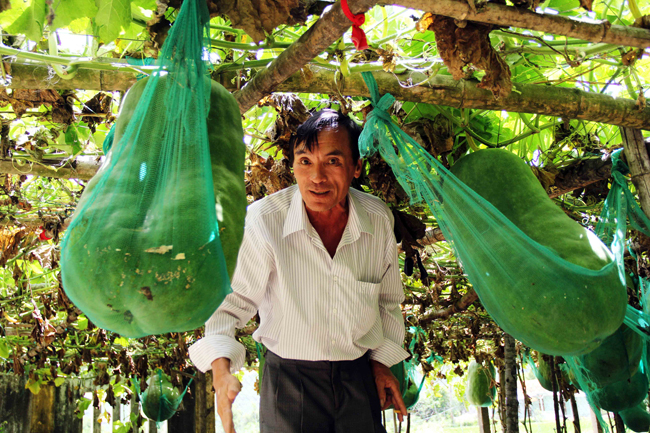 ky la vung dat nguoi dan phai mac vong cho bi khong lo “nam ngu” hinh anh 7