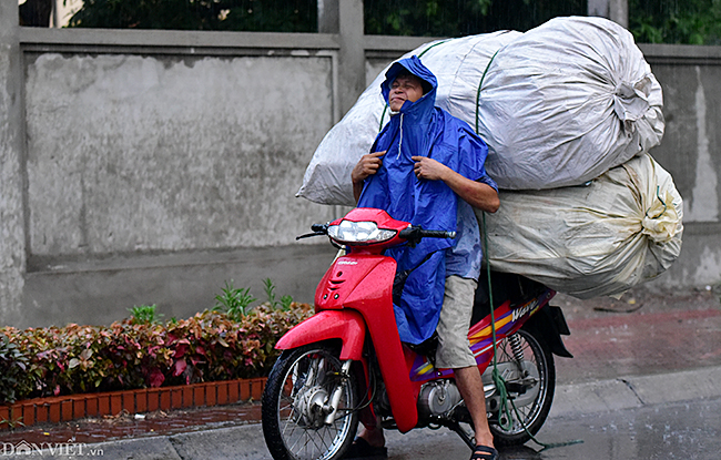 anh: nguoi ha noi hoi ha chay mua vi giong gio bat ngo hinh anh 3