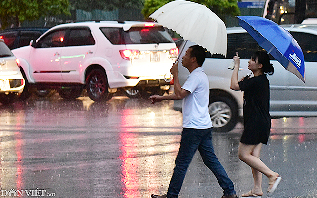 anh: nguoi ha noi hoi ha chay mua vi giong gio bat ngo hinh anh 8