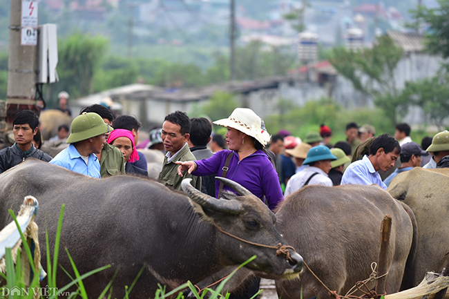 anh: kham pha 