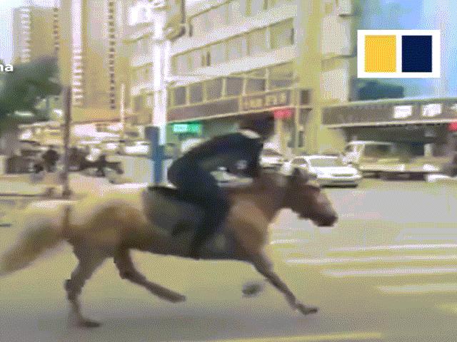 Cái kết đau đớn của chàng trai cưỡi ngựa như một ”kỵ binh” trên phố