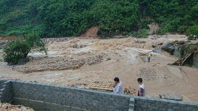 lu du cuon phang hon 140 tan ca tam thuong pham tai lai chau hinh anh 4