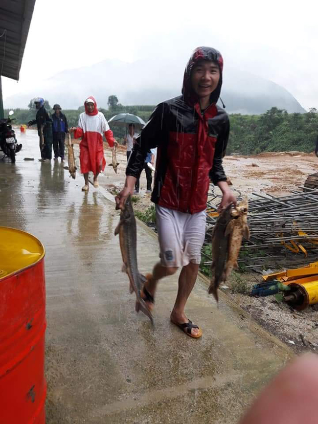 lu du cuon phang hon 140 tan ca tam thuong pham tai lai chau hinh anh 7