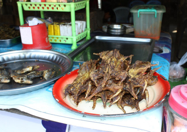 di du lich tranh an nhung thu nay de khoi ruoc hoa vao than hinh anh 2