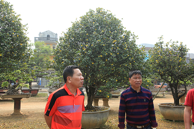 thuong lai trung quoc bi tu choi khi muon mua ca vuon mai tu quy 