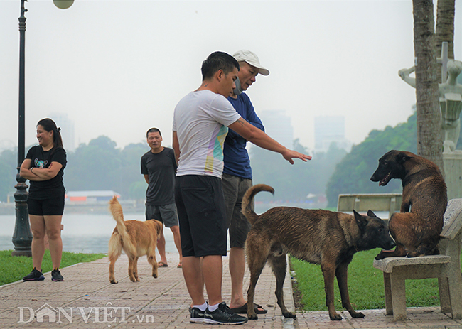 ha noi: cho tha rong, khong ro mom de doa nguoi dan noi cong cong hinh anh 1