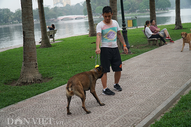 ha noi: cho tha rong, khong ro mom de doa nguoi dan noi cong cong hinh anh 5