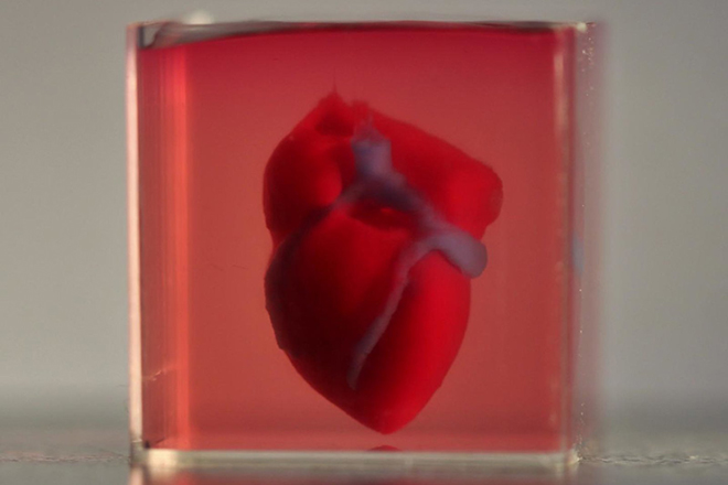 In 3D trái tim từ tế bào là một trong những công nghệ in ấn tiên tiến nhất hiện nay. Hình ảnh trái tim 3D được tạo ra từ các tế bào sống động, màu sắc tươi sáng sẽ khiến bạn cảm thấy như đang chứng kiến một tác phẩm nghệ thuật sống động.