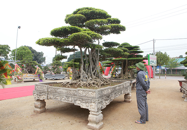 sanh “long chua” dat ngang 20 lo dat, chu nhan van khong ban hinh anh 2