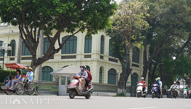 anh: nguoi ha noi vat va trong nang nong dot ngot gan 40 do c hinh anh 1