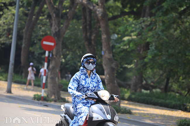 anh: nguoi ha noi vat va trong nang nong dot ngot gan 40 do c hinh anh 4