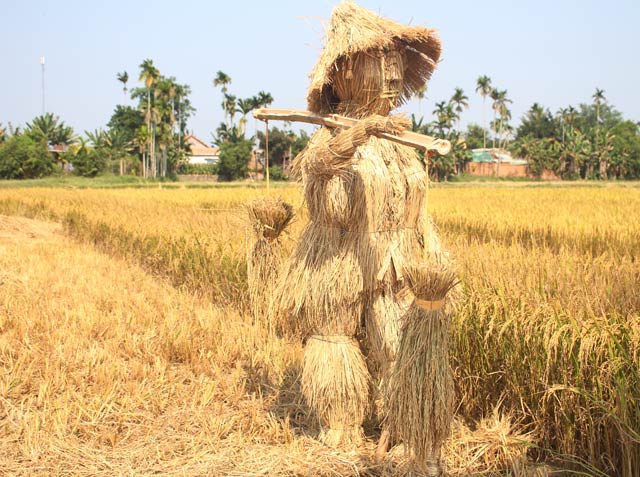 Quảng Ngãi: Độc đáo trâu vàng bện bằng rơm ở “Lễ hội ngày mùa”