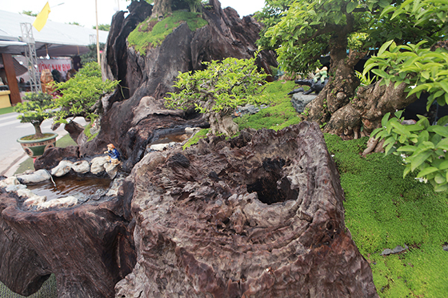 cho mai chieu thuy no hoa trang tinh tren khuc go den si, chu nhan ra gia tien ty hinh anh 14