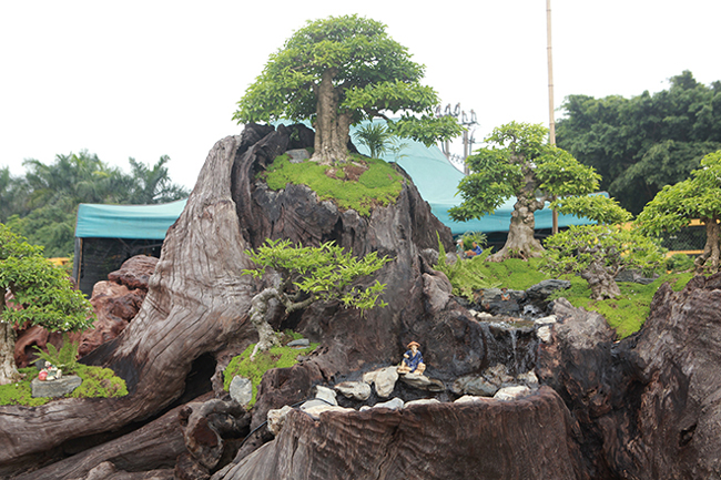 cho mai chieu thuy no hoa trang tinh tren khuc go den si, chu nhan ra gia tien ty hinh anh 5