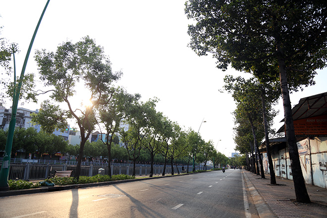 Thưởng thức vẻ đẹp yên bình của đường phố Sài Gòn. Không còn sự tấp nập và hối hả nhưng thay vào đó là không khí trong lành, giúp bạn dễ dàng tìm thấy những khoảnh khắc tĩnh lặng và trầm tư giữa cuộc sống bộn bề.
