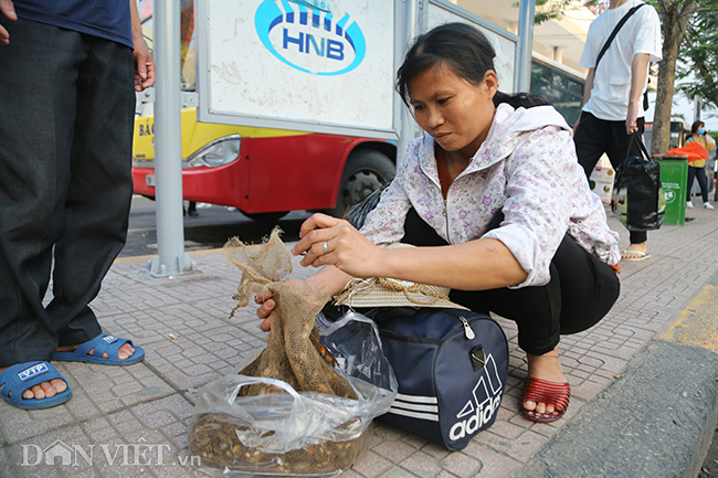 hinh anh nguoi dan be ga, rau que tro ve ha noi sau ky nghi le hinh anh 9