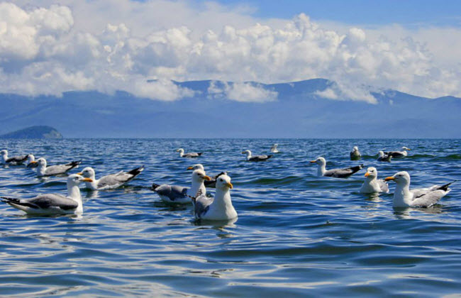 kham pha ho baikal - hon ngoc vung siberia hinh anh 20