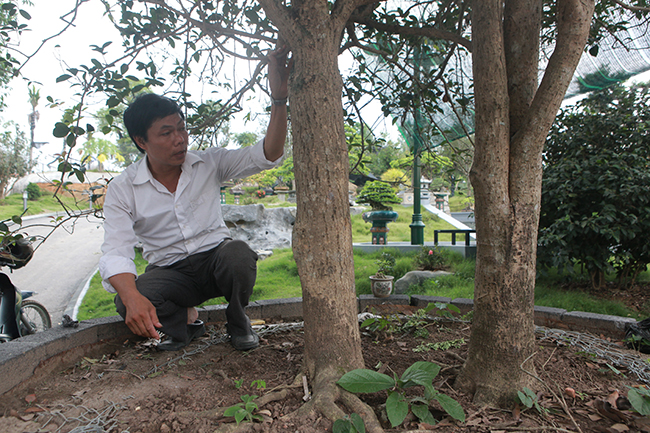 chiem nguong 2 cay moc huong 