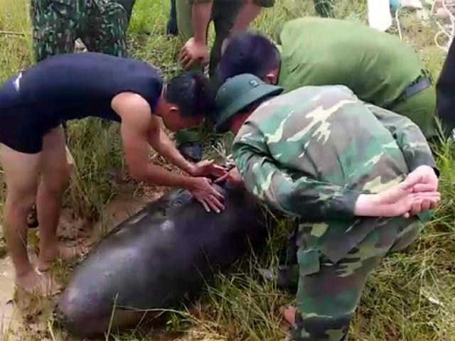 Ngư dân phát hiện bom “khủng” khi đánh cá