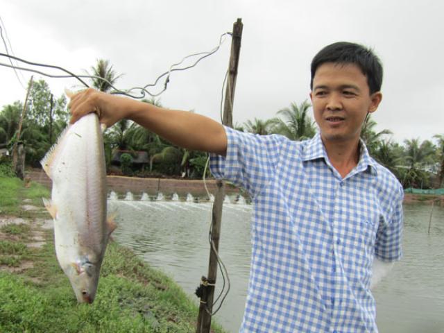 Làm giàu ở nông thôn: Đổi đời nhờ nuôi loài cá bông lau