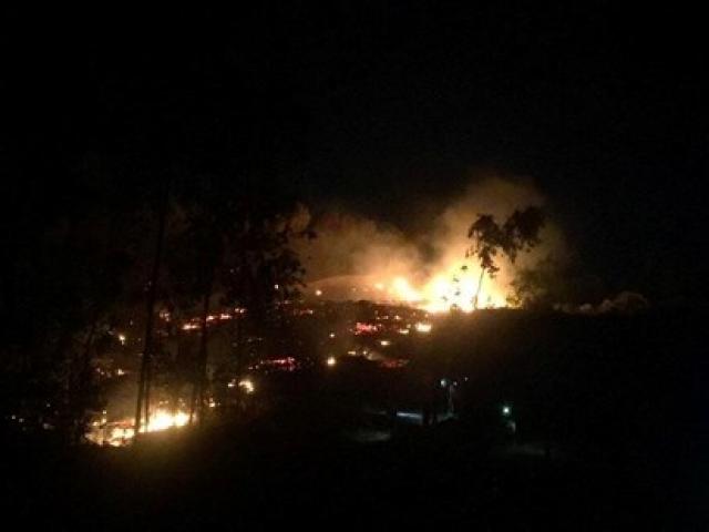 Cháy rừng thông sát trường học, học sinh ào ra dập lửa