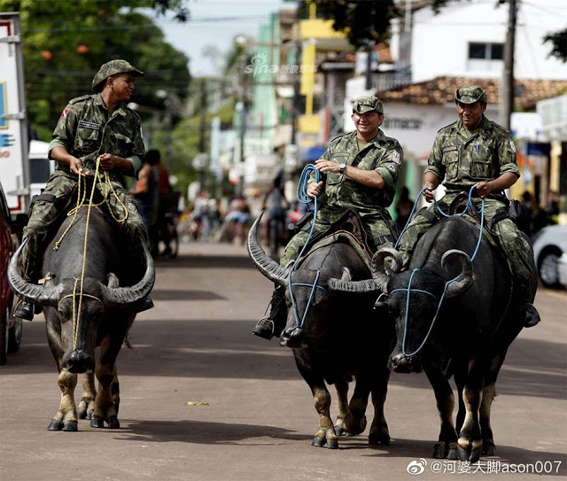 Những điểm đến thiên đường ở Brazil du khách không nên bỏ lỡ  Du lịch