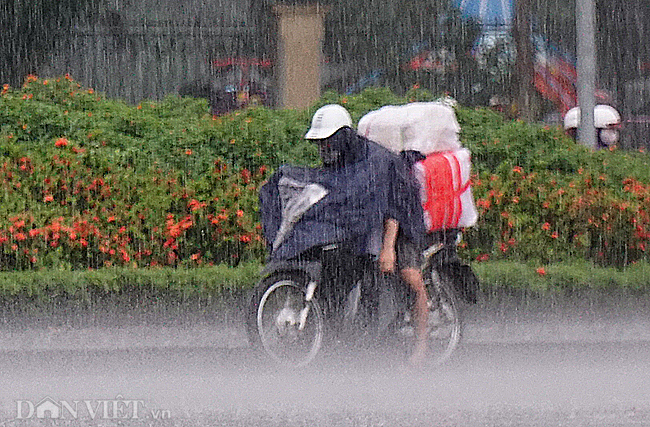 anh: ha noi don 