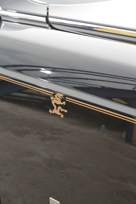 Logo Rồng trên thân xe