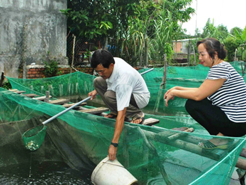 lo-anh-thoi-hoc-sinh-cua-tan-hoa-hau-vn