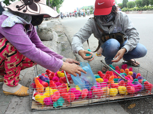 mua gà về nuôi và cho con chơi 