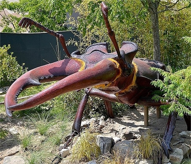 Bọ cánh cứng có sừng khổng lồ xuất hiện trong vườn thú Cheshire, Anh
