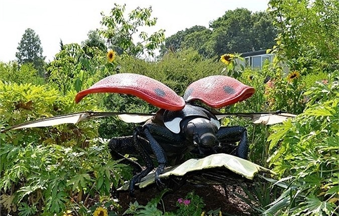 Những loại côn trùng bắt mắt cũng được mô phỏng bằng những con robot sống động nhất