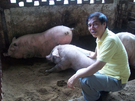 Ông Nguyễn Đại Thắng (thôn Phú Nghĩa,  xã Minh Phú, Sóc Sơn, Hà Nội) đang rất thành công với mô hình ĐLSH cho chăn nuôi trang trại.